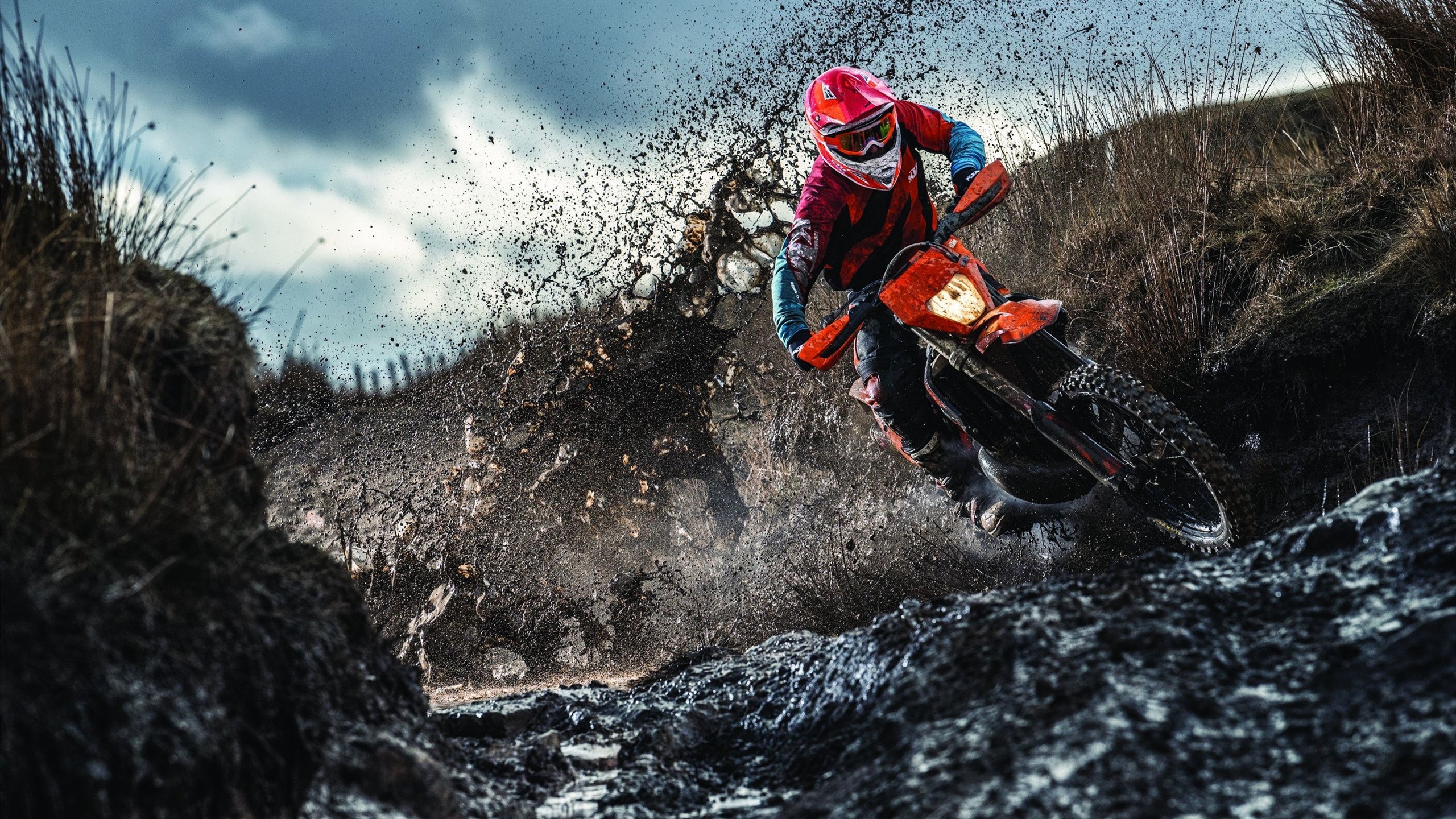 战术的胜利,灰熊如何用体系锁死雄鹿,抢七战书写新传奇